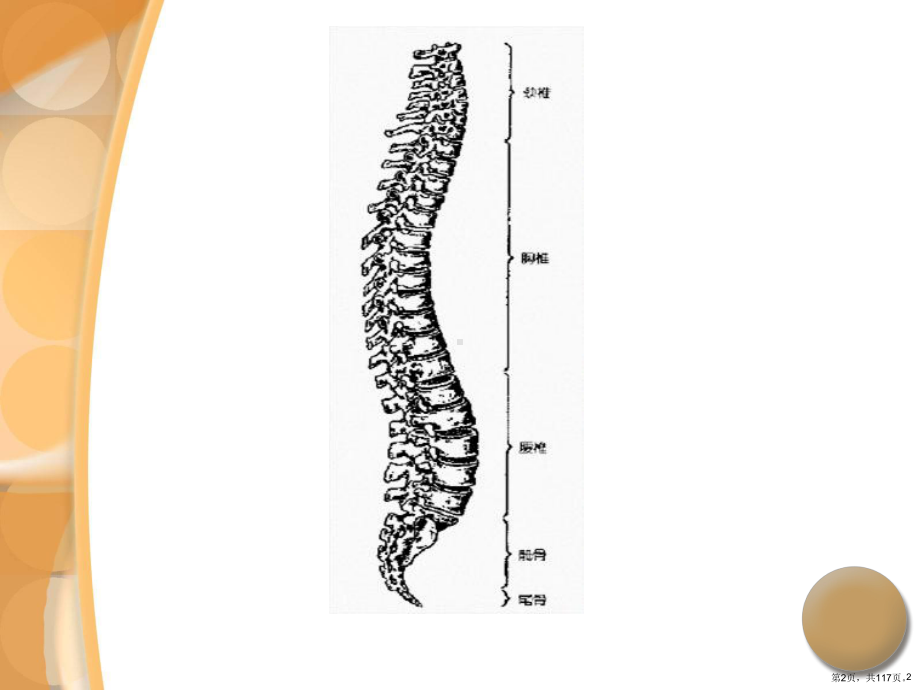 腰椎间盘突出症诊治课件(PPT 117页).pptx_第2页
