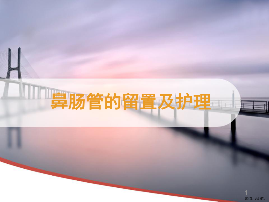 肠管的留置及护理ppt课件(PPT 33页).ppt_第1页