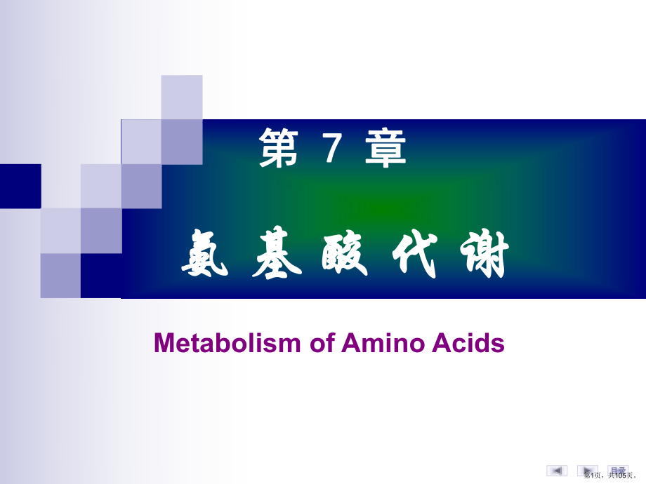 第07章氨基酸代谢1课件(PPT 105页).pptx_第1页