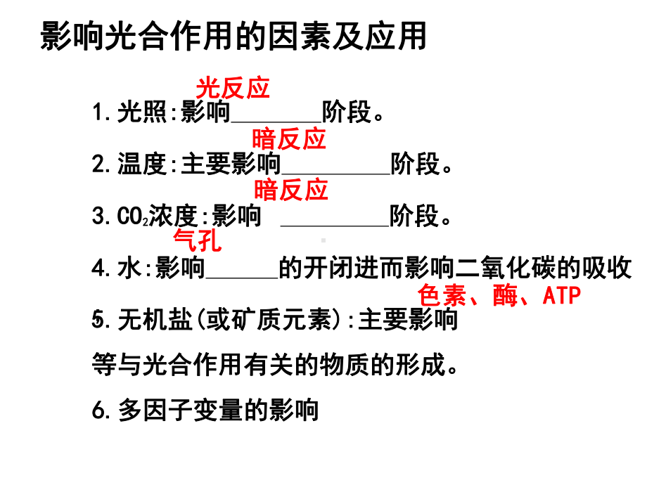 光合作用曲线专题49页课件.ppt_第2页