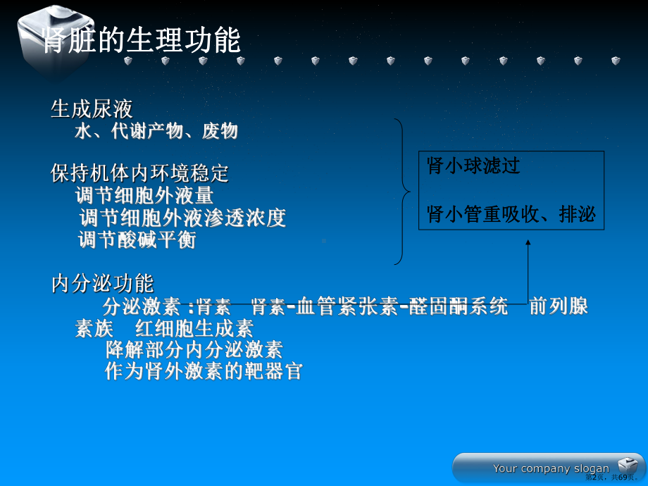 肾功能不全课件(PPT 69页).pptx_第2页