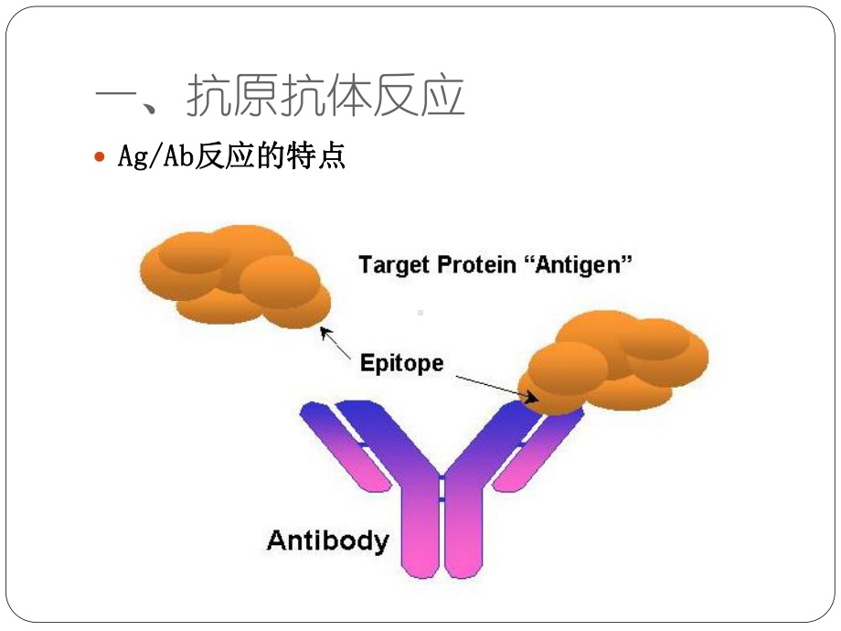 免疫学检测与防治-医学免疫学课件.pptx_第3页