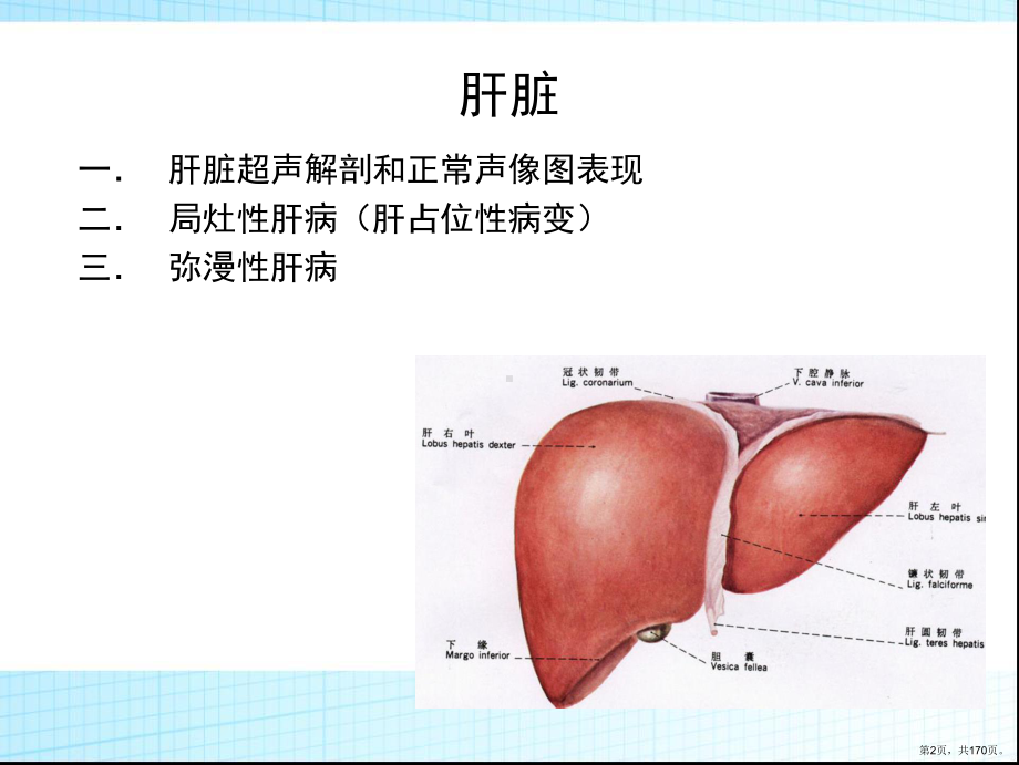 超声诊断学-肝胆胰脾课件(PPT 170页).pptx_第2页