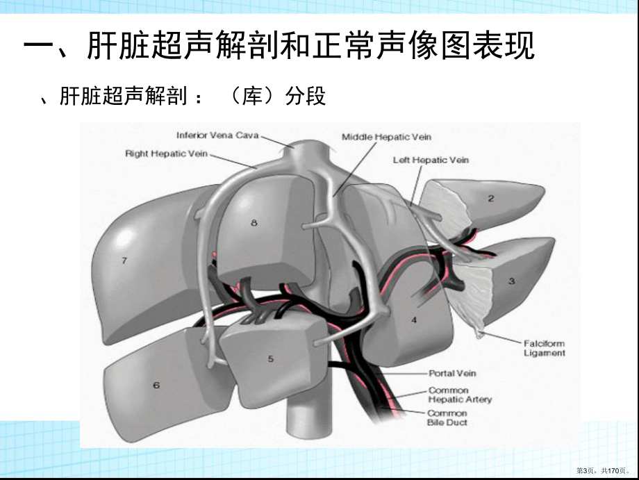 超声诊断学-肝胆胰脾课件(PPT 170页).pptx_第3页