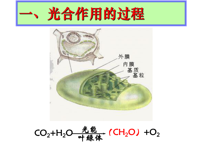 光合作用的过程及应用课件.ppt_第3页