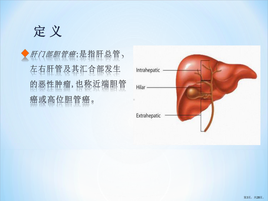 肝门部胆管癌的分型与手术策略课件(PPT 28页).pptx_第3页