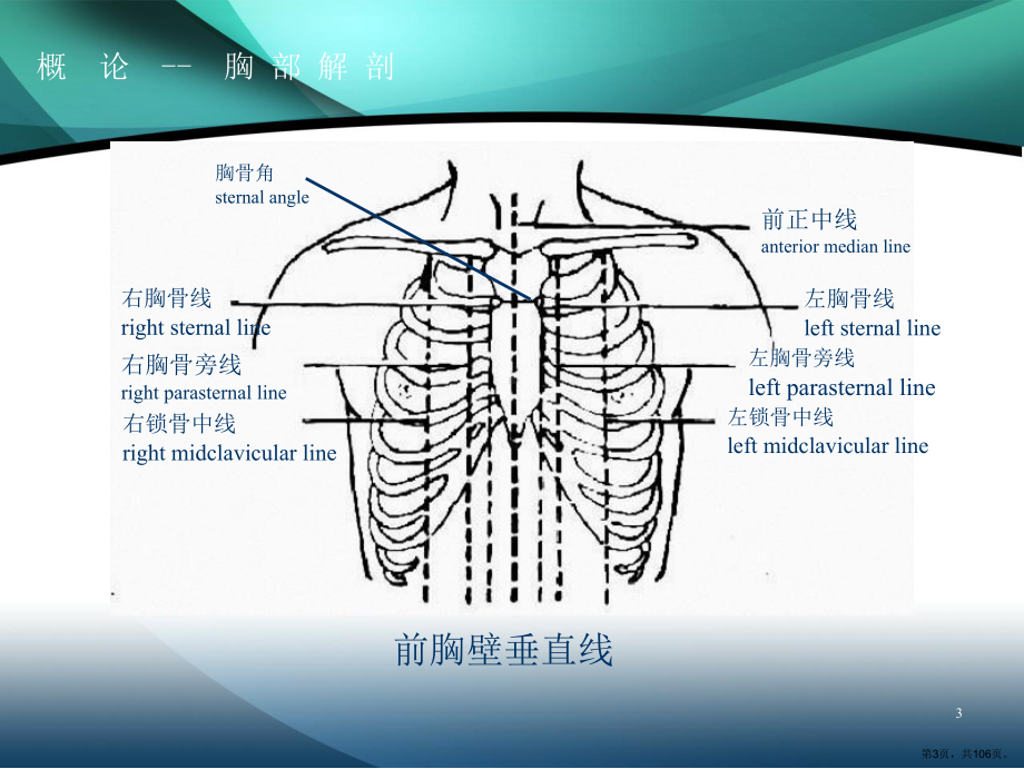 胸部外伤 课件(PPT 106页).pptx_第3页