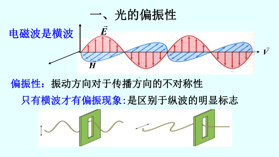 光的偏振性-反射和折射光的偏振--大学物理课件.ppt_第2页