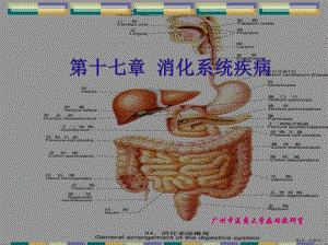 病理教研室消化系统疾病课件(PPT 121页).pptx