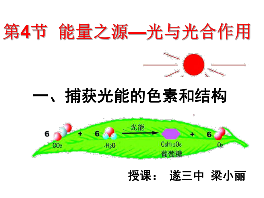 光与光合作用课件.ppt_第1页