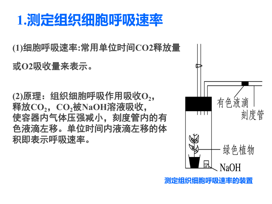 光合速率与呼吸速率的测定解读课件.ppt_第2页