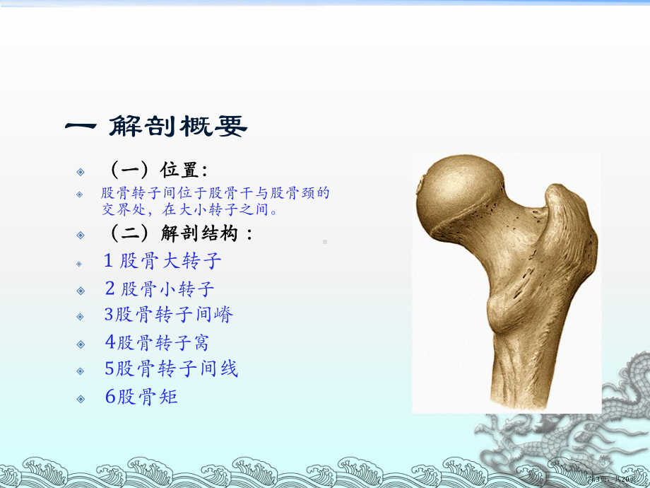 股骨转子间骨折PPT演示课件(PPT 20页).pptx_第3页