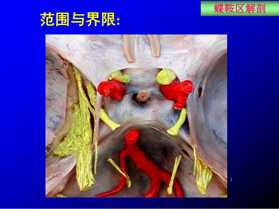 蝶鞍区断层解剖与影像对照PPT医学课件(PPT 76页).pptx_第2页