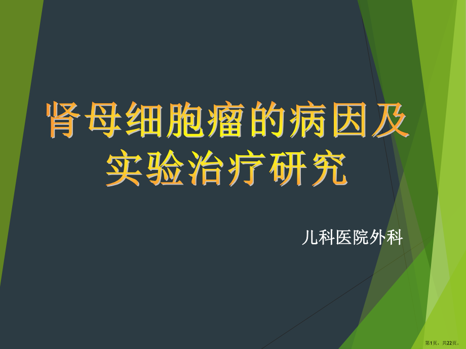 肾母细胞瘤的病因及实验治疗研究课件(PPT 22页).pptx_第1页