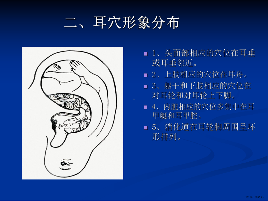 耳穴压豆课件分析PPT课件(PPT 35页).pptx_第3页