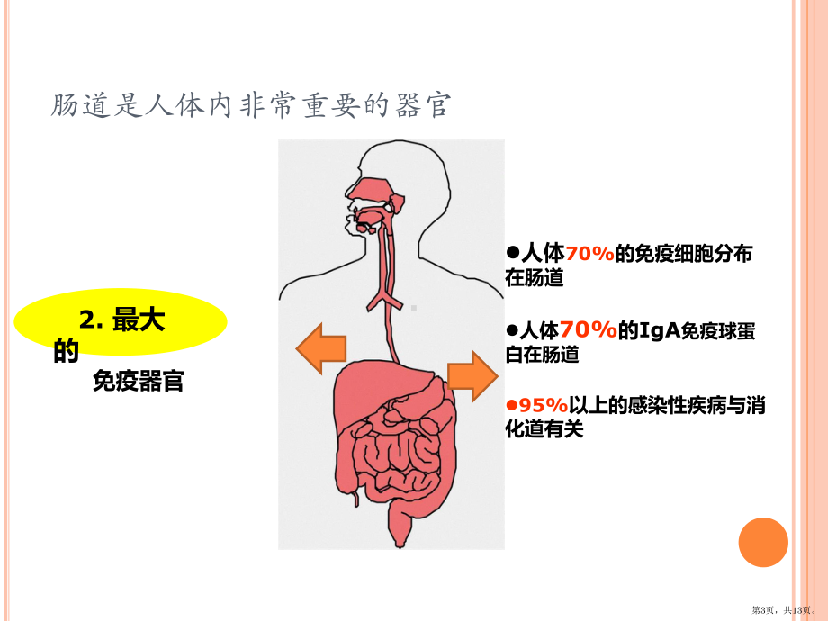 肠道健康科普讲稿课件(PPT 13页).pptx_第3页