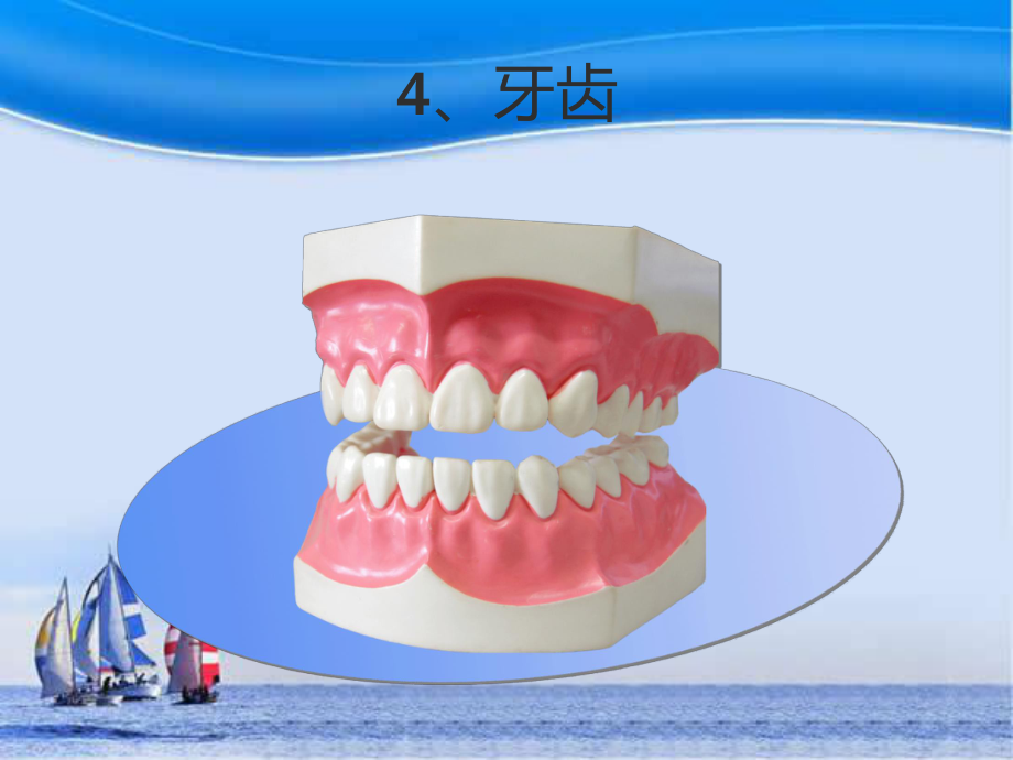 儿童的牙齿ppt课件.ppt_第1页