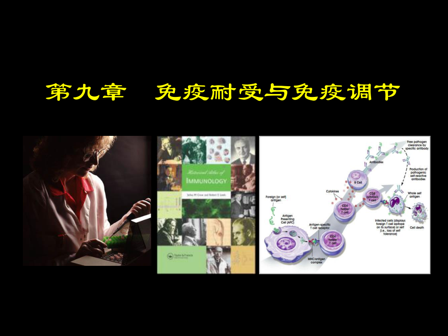 免疫学第9章-免疫耐受与免疫调节课件.ppt_第1页