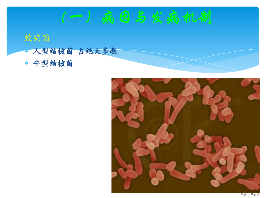 肠结核及结核性腹膜炎病人的护理课件(PPT 43页).pptx_第3页