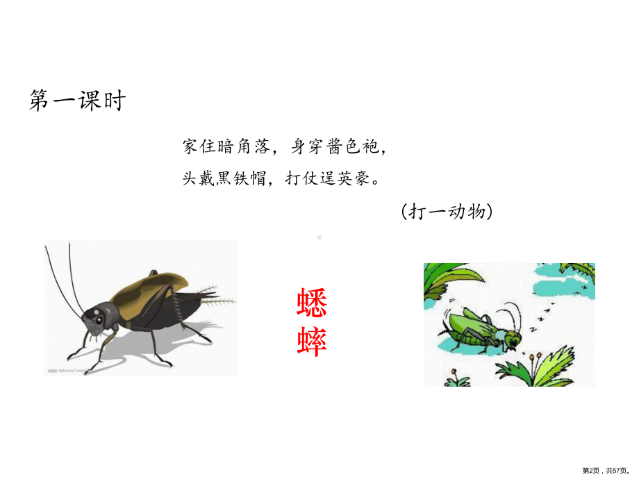 部编版三年级上册语文 10在牛肚子里旅行课件(PPT 57页).ppt_第2页