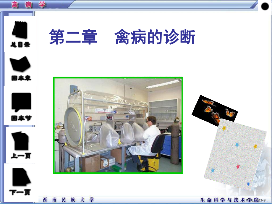 禽病学第二章禽病的诊断西南民族大学课件(PPT 224页).pptx_第1页