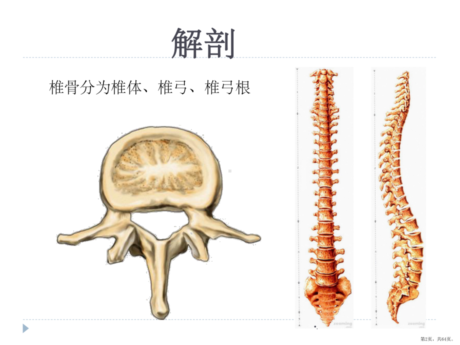 腰椎骨折患者的护理ppt课件(PPT 64页).pptx_第2页