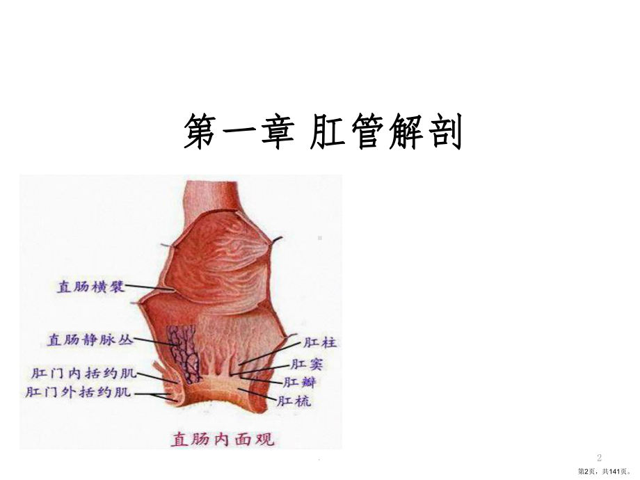 肛肠疾病基本知识ppt课件(PPT 141页).pptx_第2页