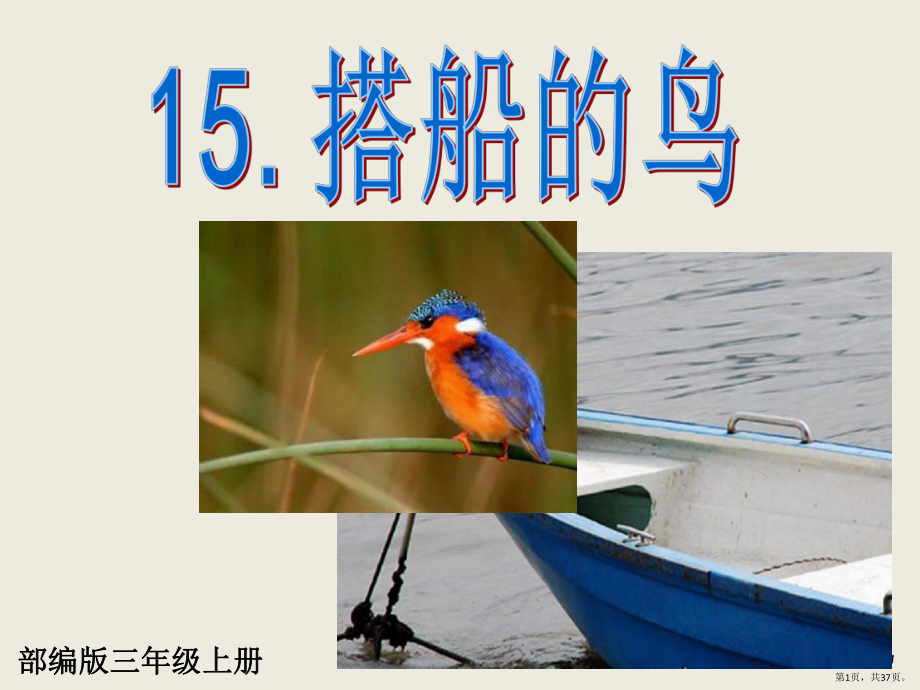 部编版三年级上册语文 15.搭船的鸟(PPT 37页) 公开课课件(PPT 37页).pptx_第1页