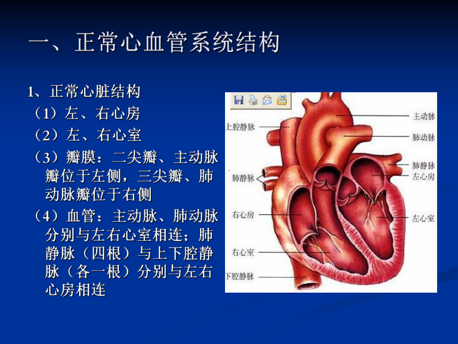 先天性心脏病与风湿性心脏病课件.ppt_第2页