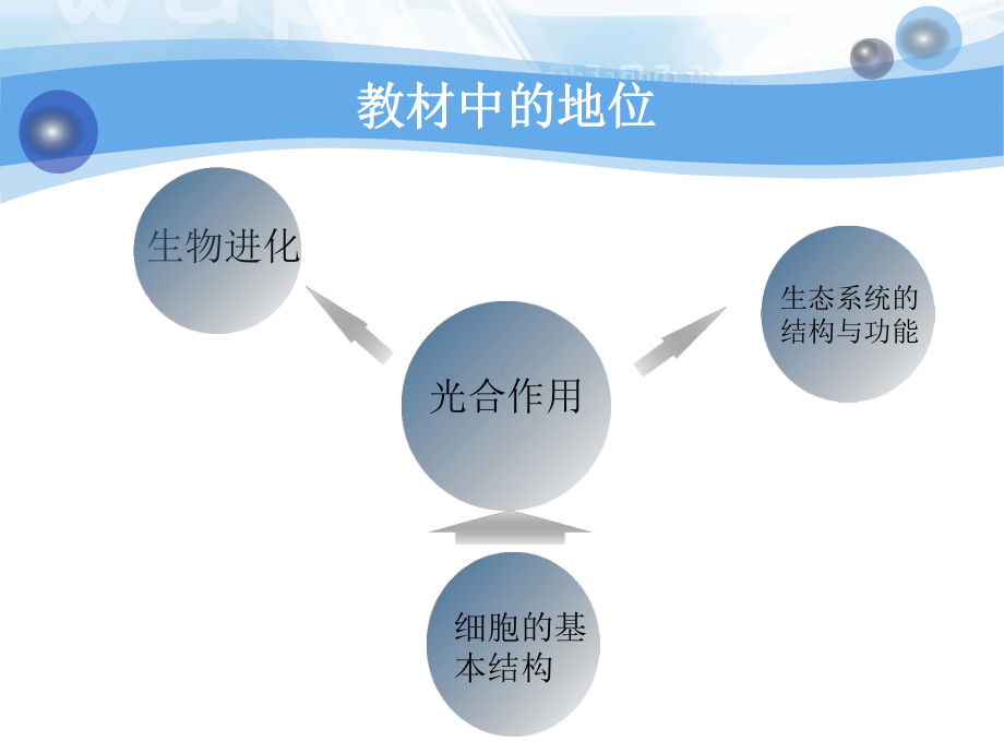 光合作用说课课件.ppt_第3页