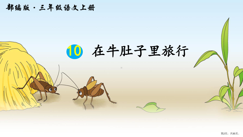 部编版三年级上册语文 10在牛肚子里旅行 课件(PPT 35页).pptx_第2页