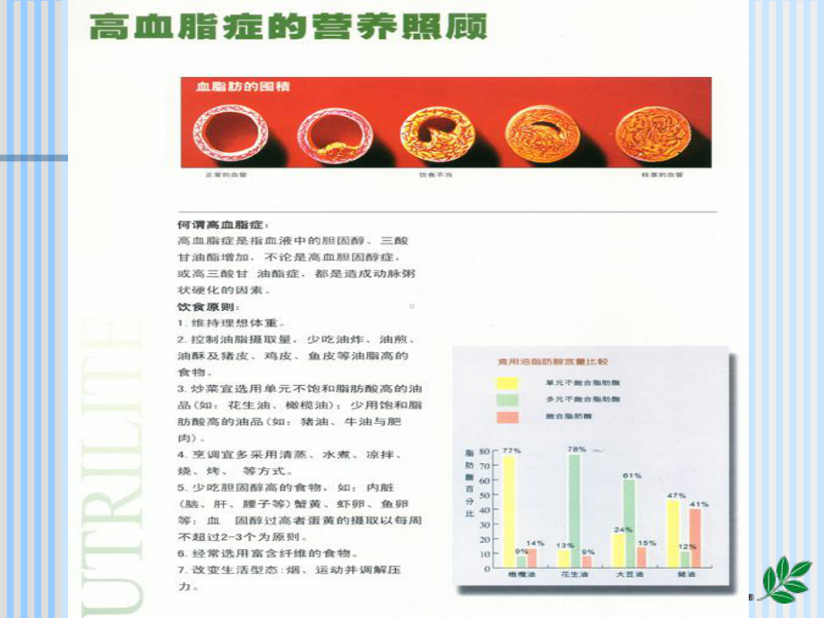 儿童营养讲座课件.ppt_第3页