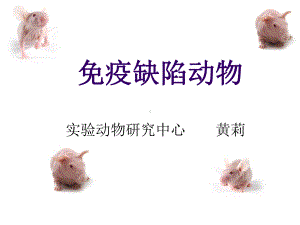 免疫缺陷动物课件.ppt