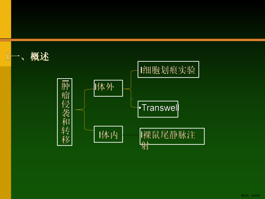 肿瘤侵袭转移实验技术课件(PPT 28页).pptx_第3页