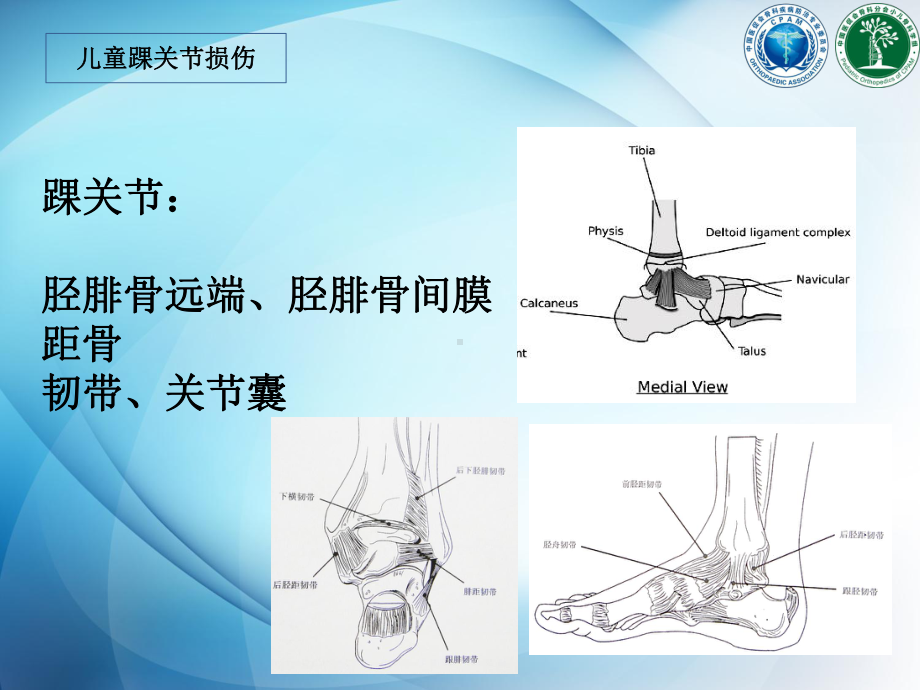 儿童踝关节损伤课件.pptx_第2页