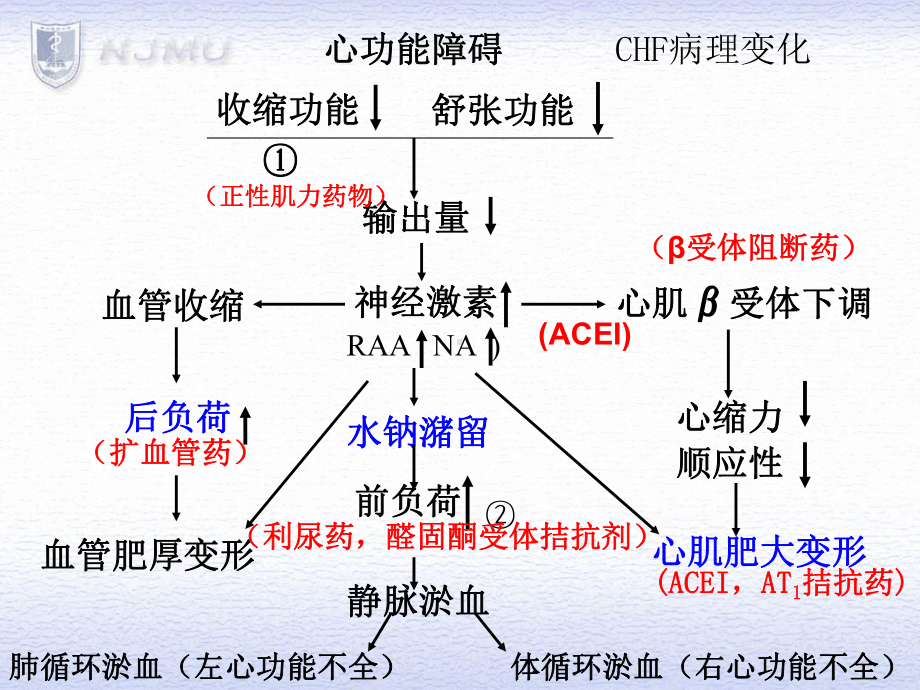 充血性心力衰竭课件.ppt_第3页