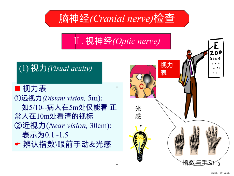 诊断学-神经系统体格检查PPT课件(PPT 103页).ppt_第3页