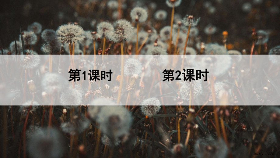 部编版三年级上册语文 16 金色的草地 公开课课件 3(PPT 20页).pptx_第2页