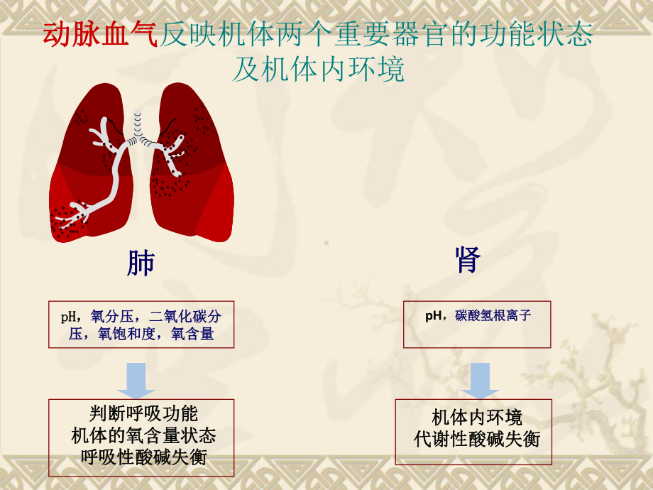 儿科常用生化检验及正常值课件.ppt_第3页