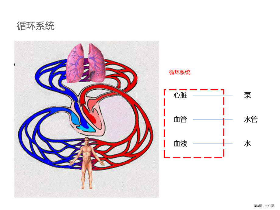 血流动力学临床应用PPT课件(PPT 60页).ppt_第3页