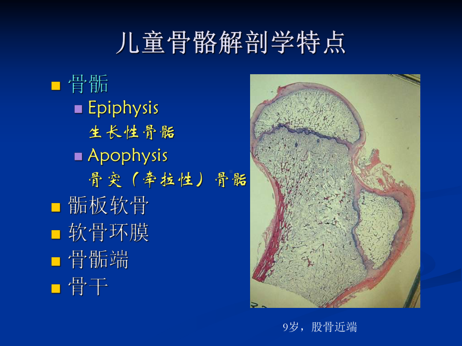 儿童骨关节创伤的影像诊断课件.ppt_第2页