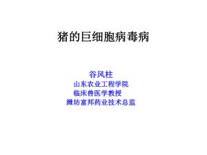 关注猪的巨细胞病毒病课件.ppt