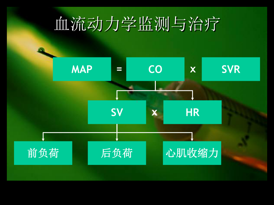 危重病患者的血流动力学监测与治疗课件.ppt_第2页