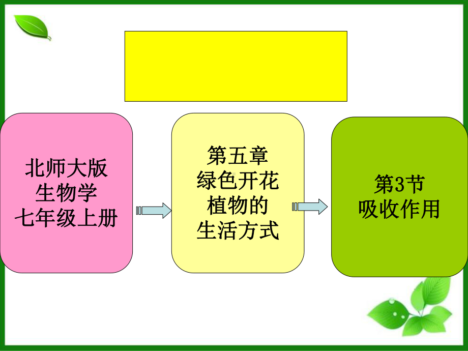 北师大版吸收作用PPT精美课件1.ppt_第3页