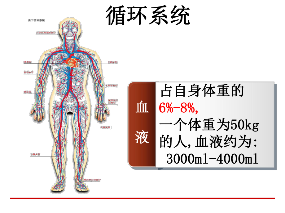 创伤救护(止血、包扎、固定、搬运)讲义课件.ppt_第3页