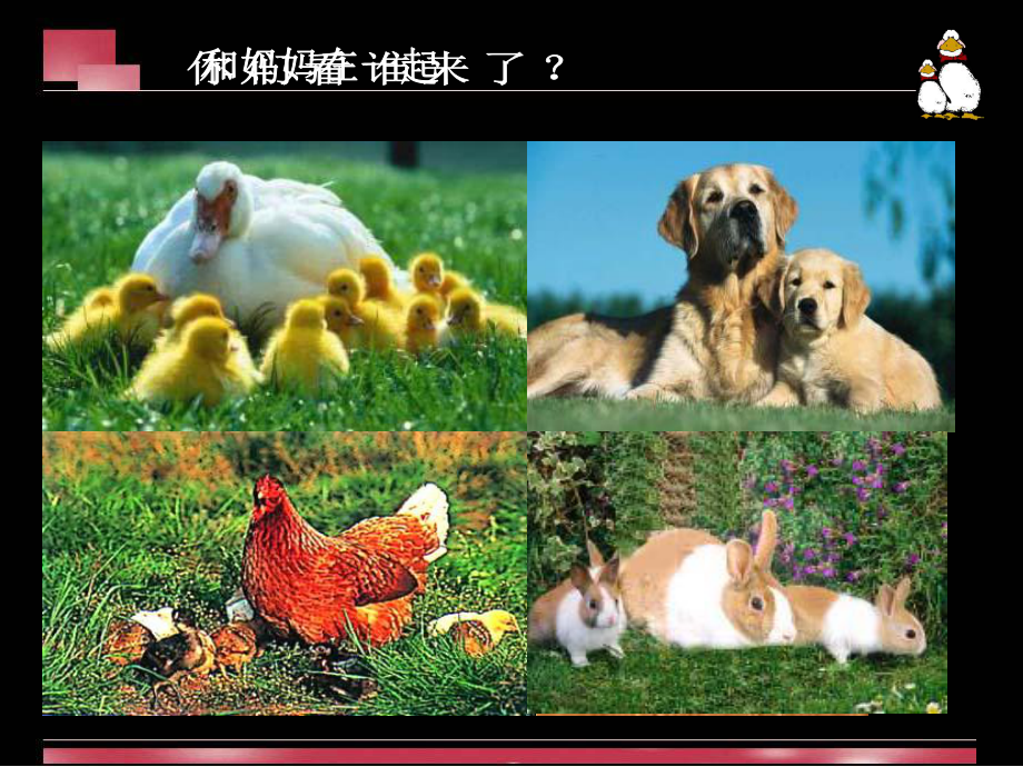 和妈妈在一起PPT教案课件.ppt_第2页