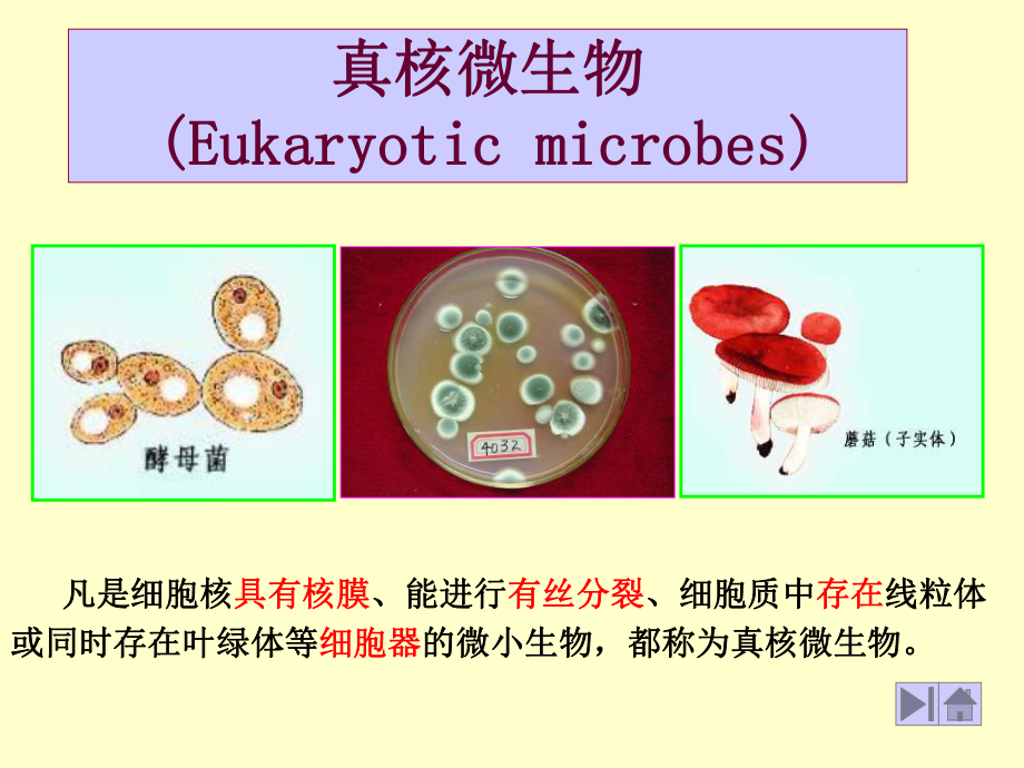 农业微生物学课件.ppt_第2页