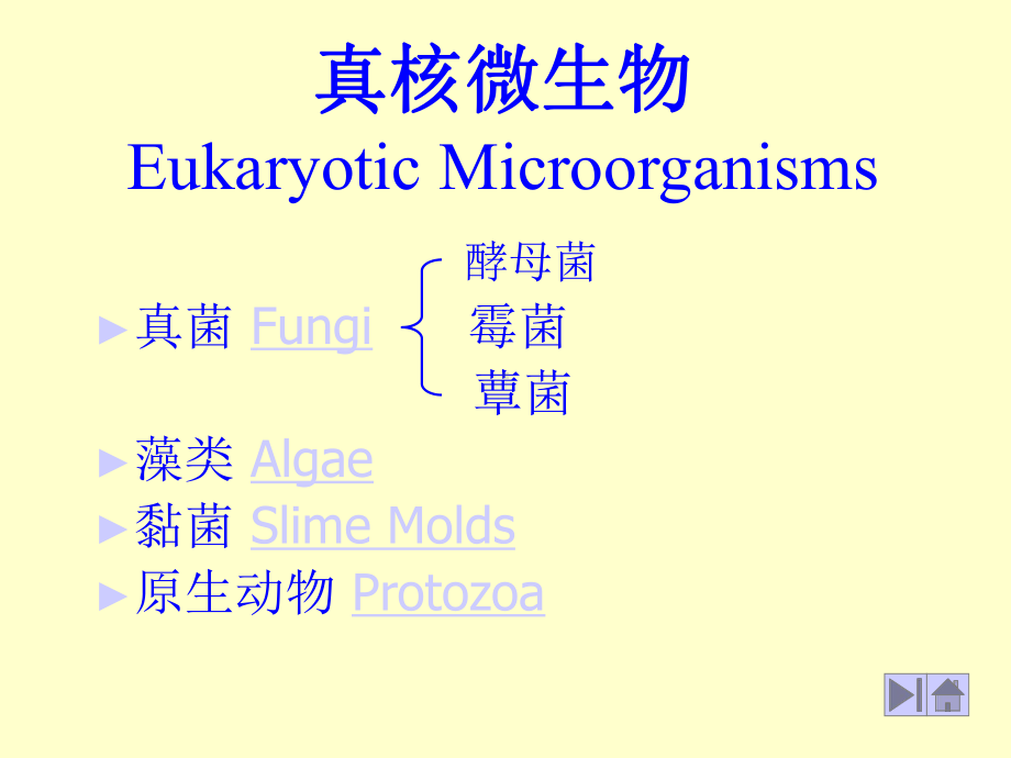 农业微生物学课件.ppt_第3页