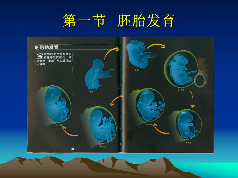 出生缺陷与优生课件.ppt_第2页