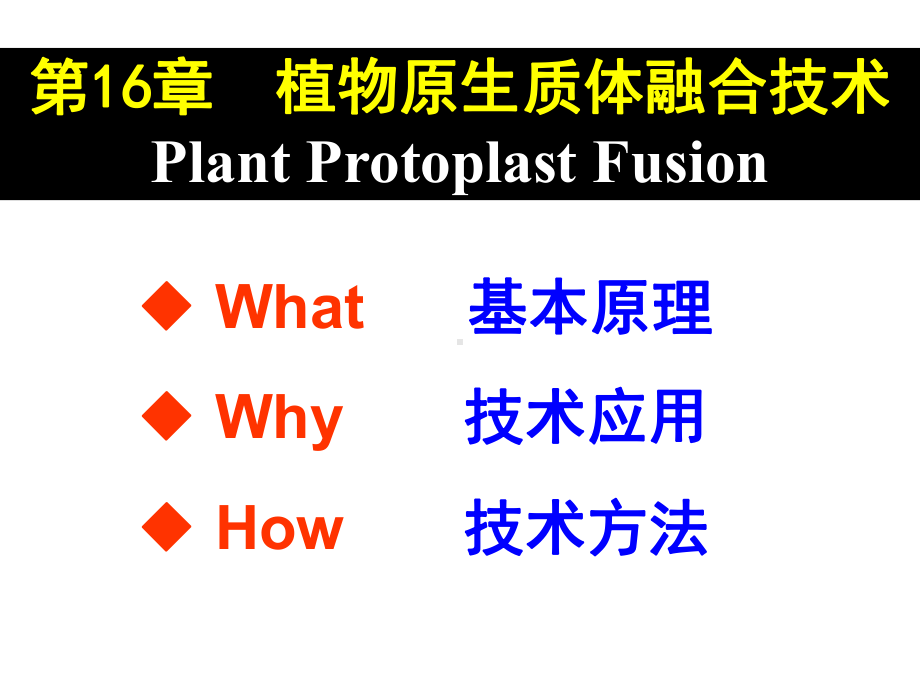 原生质体的分离A课件.ppt_第1页